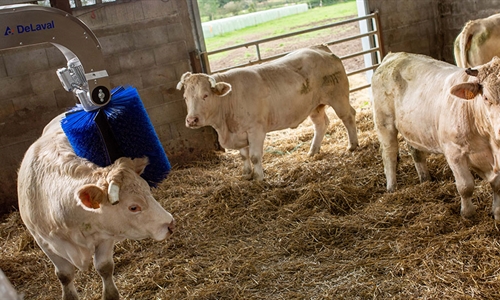 Nuevo cepillo rotativo DeLaval para vacuno de carne