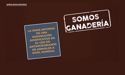 #RealidadGanadera: La OMSA informa de una disminucin significativa en...