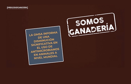 #RealidadGanadera: La OMSA informa de una disminucin significativa en...