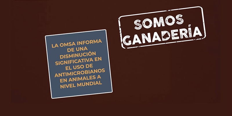 #RealidadGanadera: La OMSA informa de una disminucin significativa en el uso de antimicrobianos en animales a nivel mundial