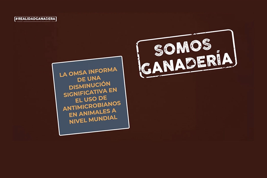 #RealidadGanadera: La OMSA informa de una disminucin significativa en...