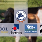 CONAFE y los centros de inseminacin ABEREKIN, ASCOL, FEFRICALE y XENTICA FONTAO apoyan a los ganaderos que aportan Datos Adicionales