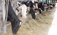 Espaa lidera en Europa los proyectos de innovacin en el sector agroalimentario gracias a la labor de los grupos operativos