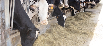 Espaa lidera en Europa los proyectos de innovacin en el sector agroalimentario gracias a la labor de los grupos operativos