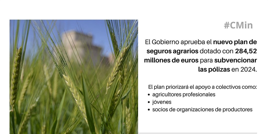 Aprobado el nuevo plan de seguros agrarios, dotado con 284,52 millones...