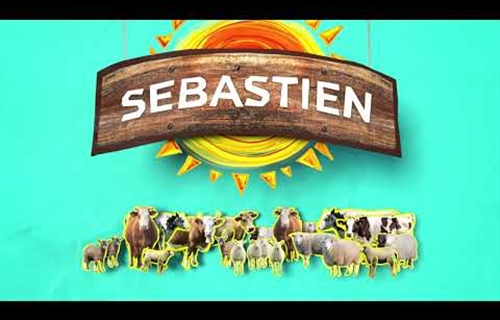 #RealidadGanadera: El proyecto Sebastien, por una ganadería más eficaz...