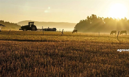 El seguro agrario marca en 2023 rcord de contratacin con 1.000...