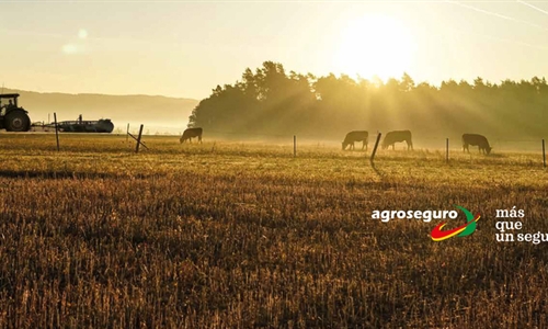 El seguro agrario marca en 2023 rcord de contratacin con 1.000...