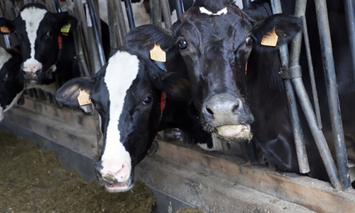 Cantabria destina 810.000 euros a mejorar el control lechero en la...