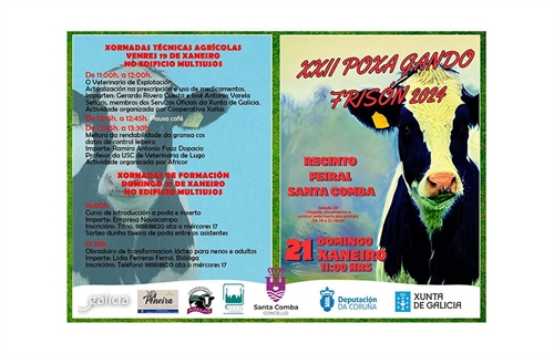 XXII Subasta de Ganado Fris�n 2024 de Santa Comba