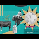 Una campaa invita en Euskadi al consumo de leche de vaca de los baserris