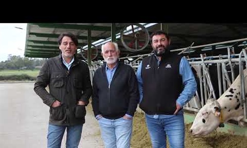 Vdeo: Ganadera Rosado Hontanilla (Talavera de la Reina, Toledo)