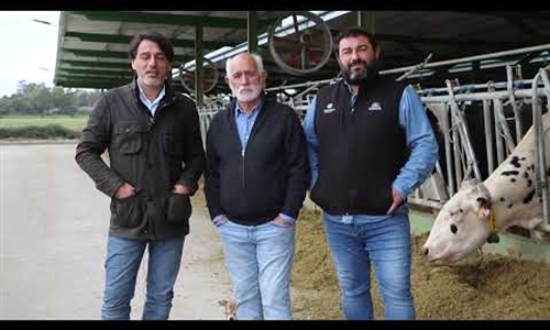 Vdeo: Ganadera Rosado Hontanilla (Talavera de la Reina, Toledo)