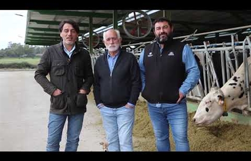 Vdeo: Ganadera Rosado Hontanilla (Talavera de la Reina, Toledo)