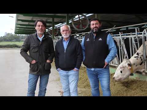 Vdeo: Ganadera Rosado Hontanilla (Talavera de la Reina, Toledo)