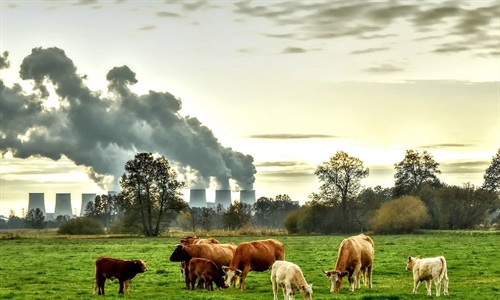 #RealidadGanadera: Los ciudadanos saben que la produccin de carne no...