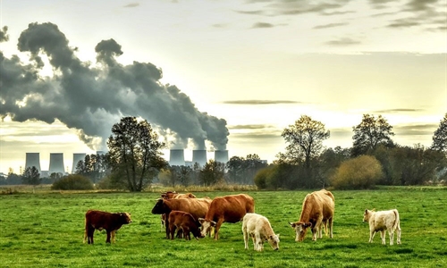 #RealidadGanadera: Los ciudadanos saben que la produccin de carne no...