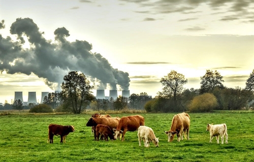 #RealidadGanadera: Los ciudadanos saben que la produccin de carne no...