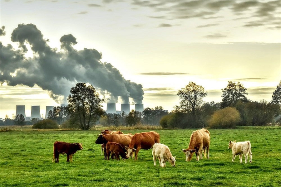 #RealidadGanadera: Los ciudadanos saben que la produccin de carne no...