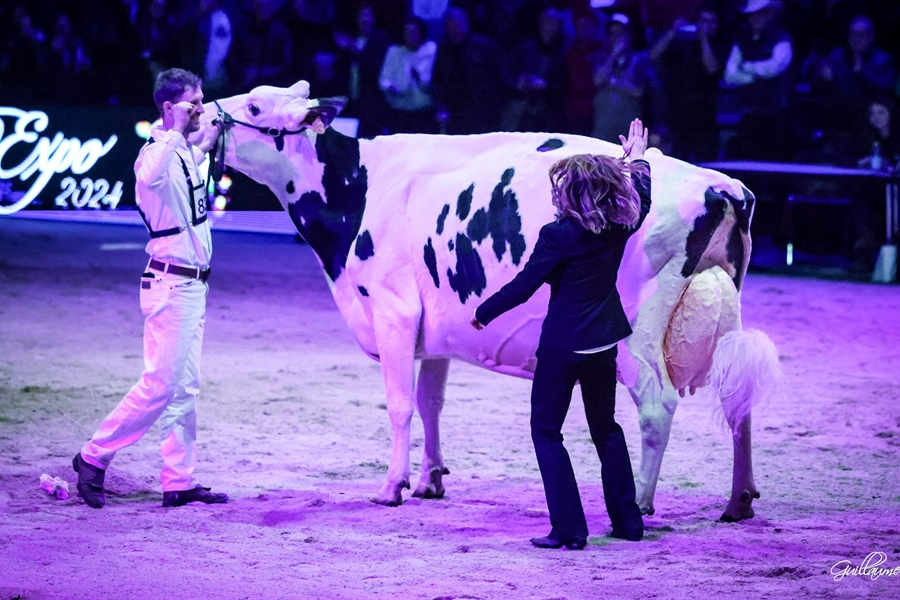 Sunibelle Dempsey Esprit, Vaca Gran Campeona de Swiss Expo 2024