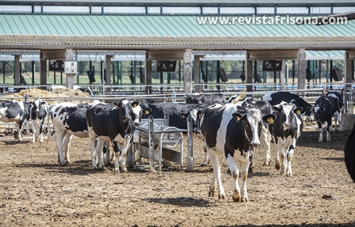 Auguran una subida de la leche en Cataluña por la pérdida de cosechas...