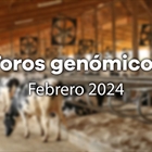 Nuevos toros genmicos con Prueba Oficial: Evaluacin genmica de febrero 2024