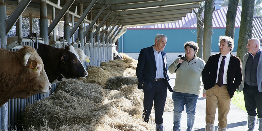 Cantabria apuesta por una estrategia de mejora gen�tica ganadera con la...