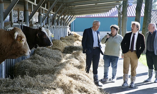 Cantabria apuesta por una estrategia de mejora gentica ganadera con la...