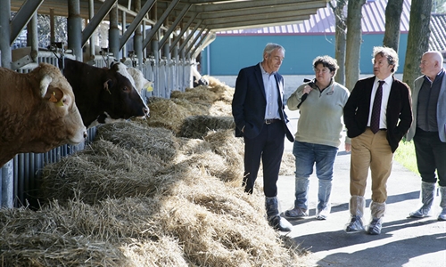 Cantabria apuesta por una estrategia de mejora gentica ganadera con la...