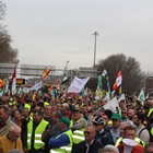 Unin de Uniones felicita a ganaderos y agricultores por su participacin en la tractorada de este mircoles en Madrid