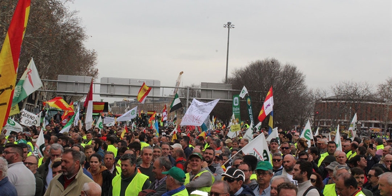 Unin de Uniones felicita a ganaderos y agricultores por su participacin en la tractorada de este mircoles en Madrid