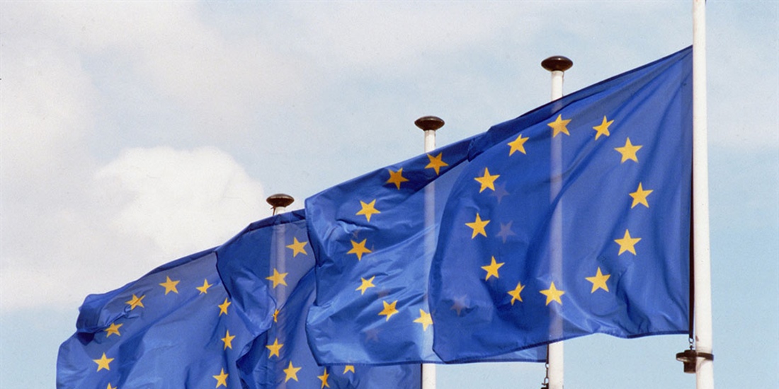 La Comisi�n Europea propone medidas para aliviar la carga...