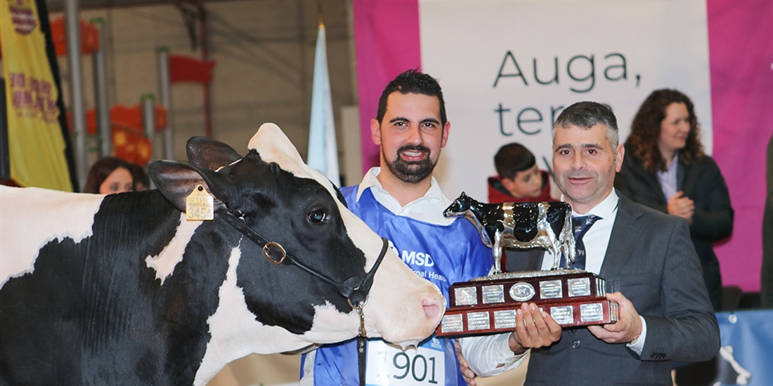 Rey 814 Beemer Yuri, Gran Campeona de Galicia 2024