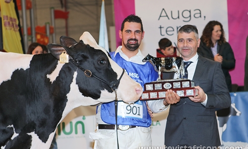 Rey 814 Beemer Yuri, Gran Campeona de Galicia 2024