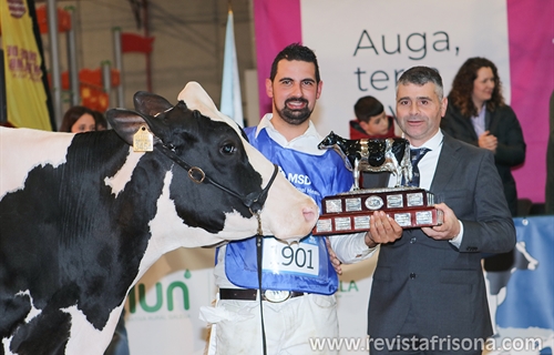 Rey 814 Beemer Yuri, Gran Campeona de Galicia 2024