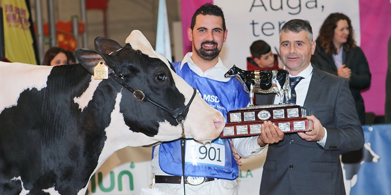 Rey 814 Beemer Yuri, Gran Campeona de Galicia 2024