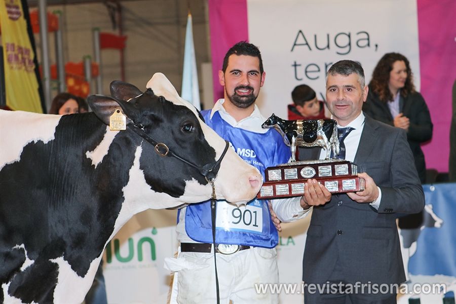 Rey 814 Beemer Yuri, Gran Campeona de Galicia 2024