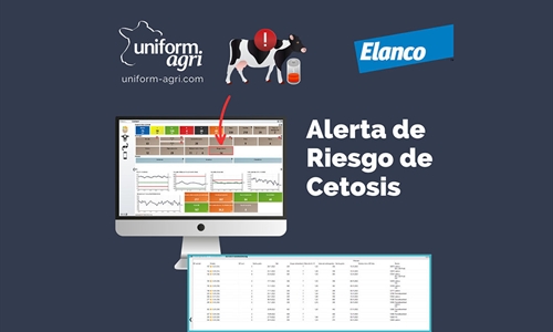 Nuevo informe de alerta de riesgo de cetosis en el programa de gestin...