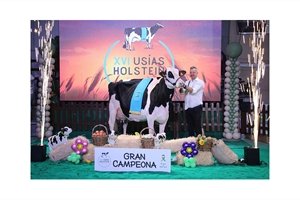 Meridian Nerea, de la ganadera Huerta Los Tobas, Vaca Gran Campeona del Usas Holstein 2024