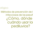 Mtodos de prevencin de lesiones infecciosas de las pezuas: Cmo, dnde y cundo usar los pediluvios?