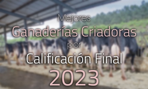 Mejores Ganaderas Criadoras por Calificacin Final de 2023