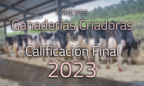 Mejores Ganaderas Criadoras por Calificacin Final de 2023