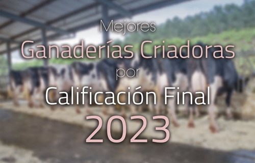 Mejores Ganaderas Criadoras por Calificacin Final de 2023