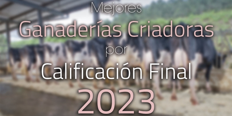 Mejores Ganaderas Criadoras por Calificacin Final de 2023