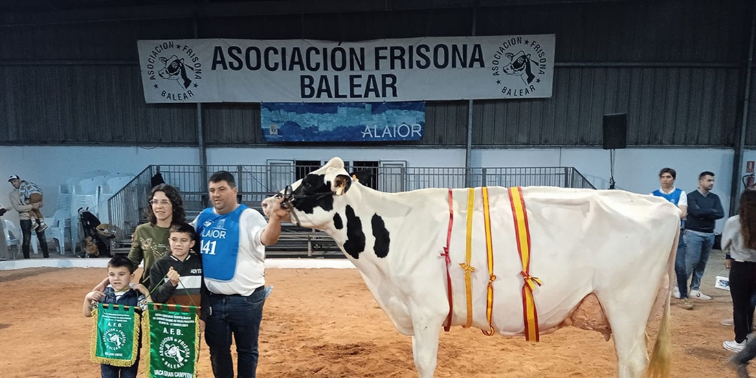 Rafal Fort Grade Isabel, Vaca Gran Campeona de Menorca 2024