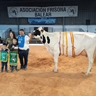 Rafal Fort Grade Isabel, Vaca Gran Campeona de Menorca 2024