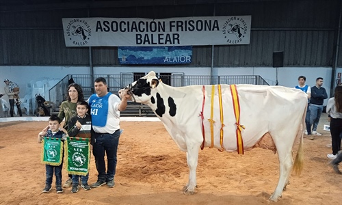 Rafal Fort Grade Isabel, Vaca Gran Campeona de Menorca 2024