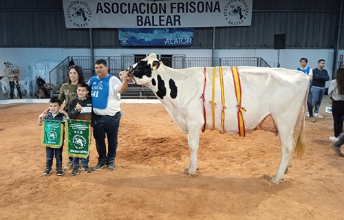 Rafal Fort Grade Isabel, Vaca Gran Campeona de Menorca 2024