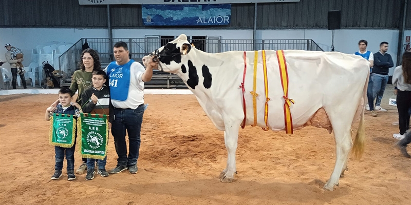 Rafal Fort Grade Isabel, Vaca Gran Campeona de Menorca 2024