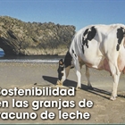 Sostenibilidad en las granjas de vacuno de leche